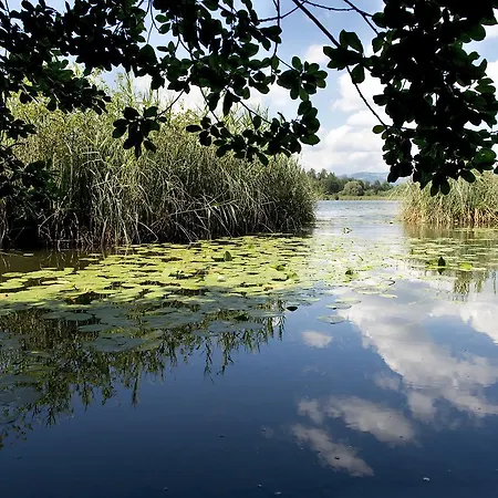 Turnersee מלון Unternarrach